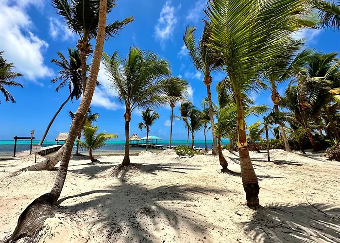 Diamond Reef 32b * San Pedro (Ambergris Caye)