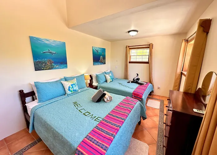 Diamond Reef 32b Apartamento *